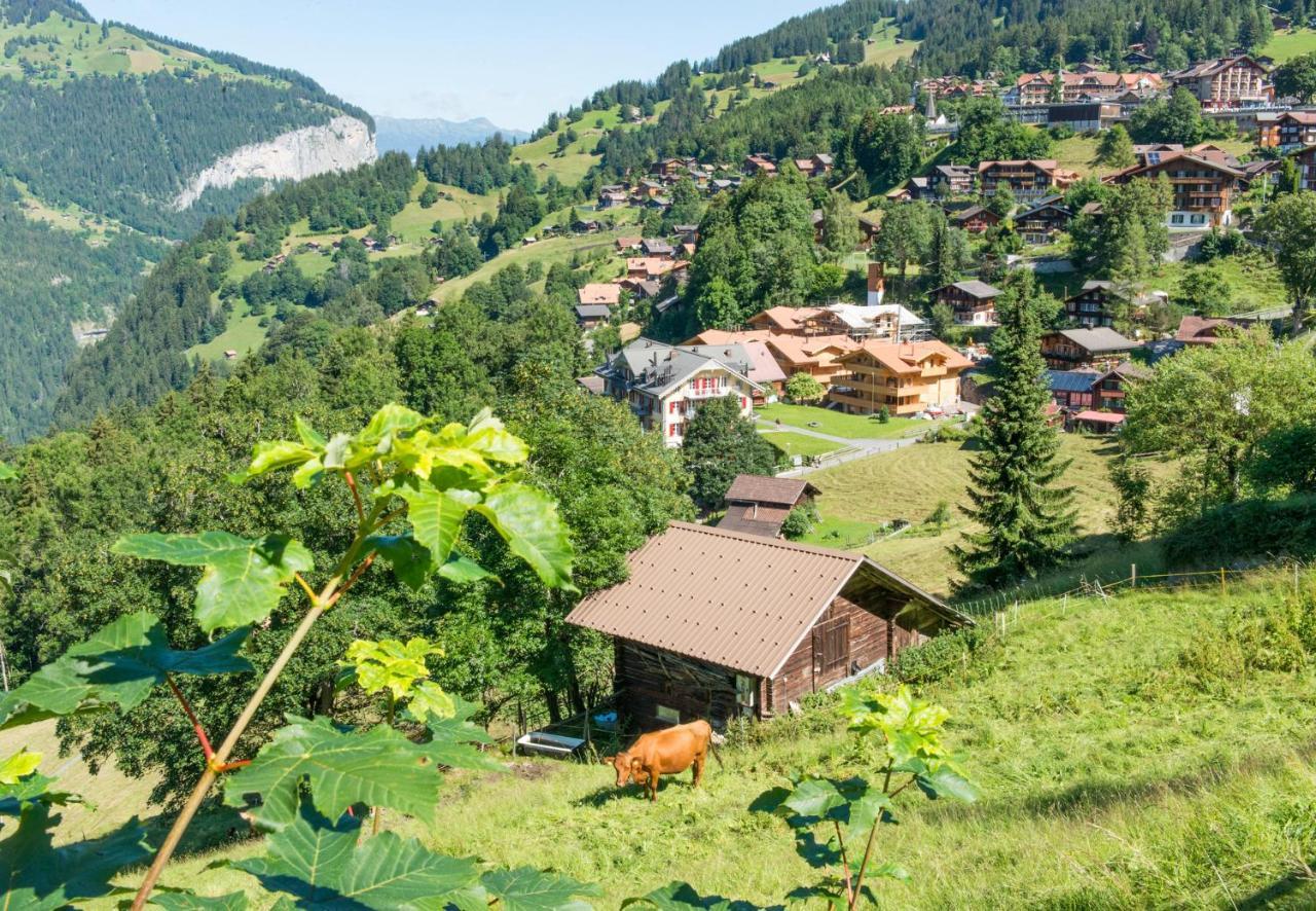 Panoramapark Soleil Chalet E Wengen Esterno foto